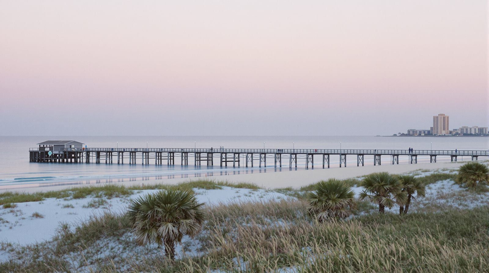 A wooden fishing pier running into a calm ocean at dawn, palmettos and sea oats on the dunes