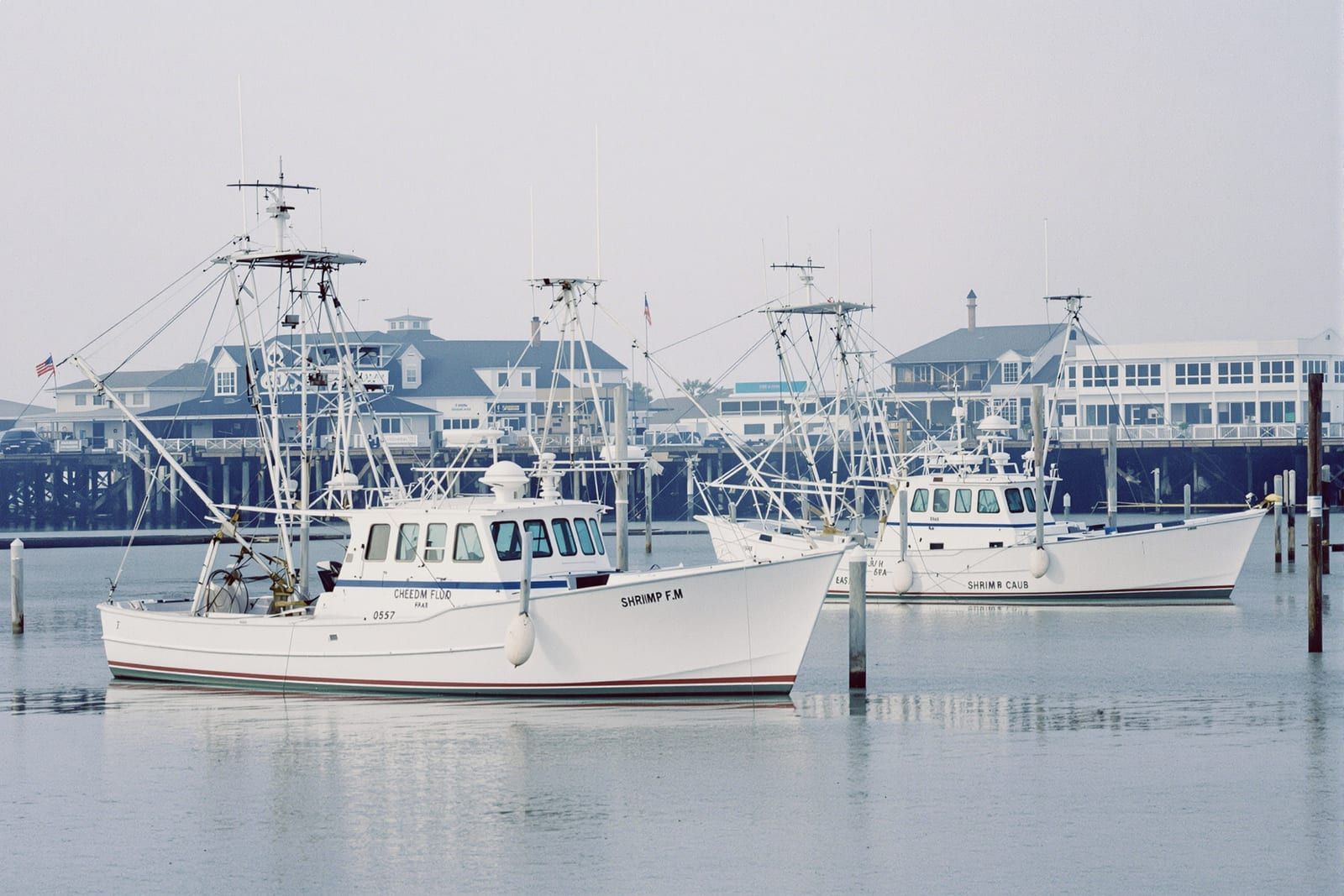 White shrimp trawlers tied up at a creek dock below waterfront buildings on pilings